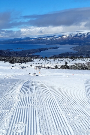 8b6739d4-d25d-40d0-9c73-ea900f6eb27f 2